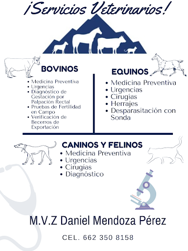 Servicios Veterinarios Mendoza