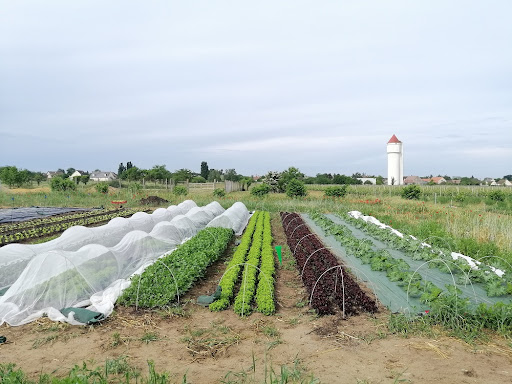 Les Jardins de Sandra