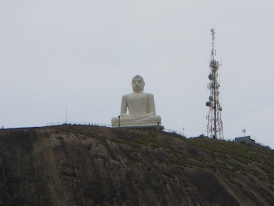 Photos of Avoga Travels Private Limited (Sri Lanka Holidays Tour)