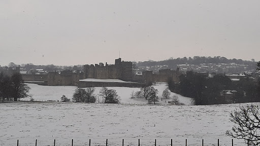 Ruins of St Leonard's Hospital - Thumbnail