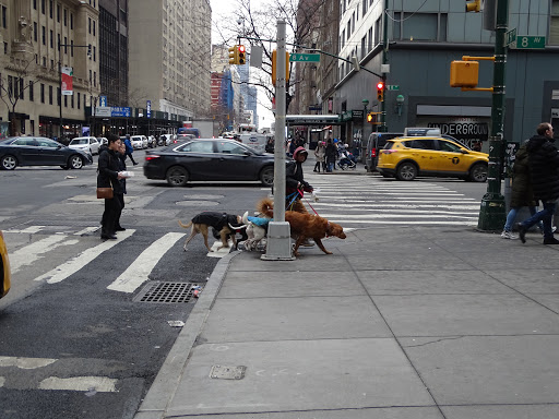 5th Ave & W 58th St - Thumbnail
