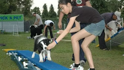 PUPS Agility Training School