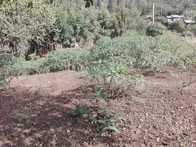 Photos of Deliverance Church Matasia