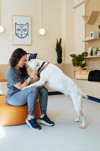 Bond Vet - Lakeview Gallery - United States