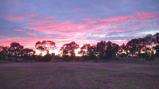 Reg Robinson Reserve - Thumbnail
