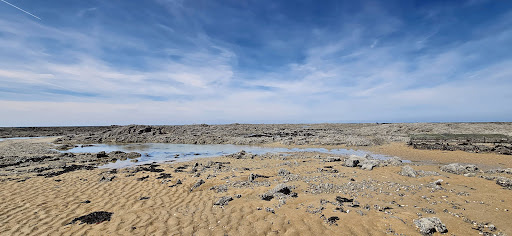 Point de vue Blainville-sur-mer Logo