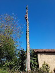 Photo n°6 de Breull Paysage à Engins (Service d'élagage)