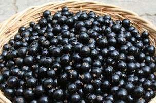 Photo n°6 de La Thuile des fées à Desges (Magasin d'alimentation bio)