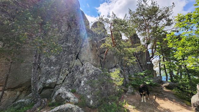 84 4338, 4600 Велинград