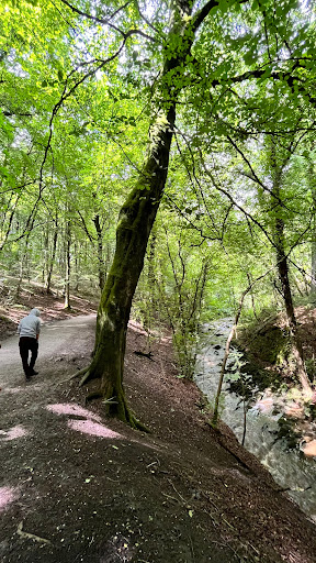 Round Dam - Visual