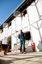 Photo n°1 de Ecuries Lalande Laborie à Auriac-du-Périgord (Entraîneur de chevaux)