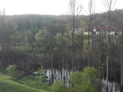 Photos of FLAIR HOTEL HOCHSPESSART