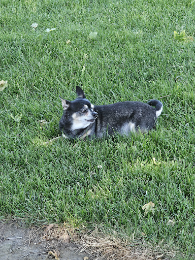 Chaparral Park - Thumbnail
