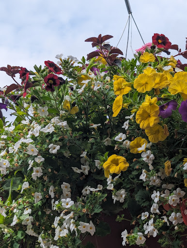 Spring Meadow Estates - Visual