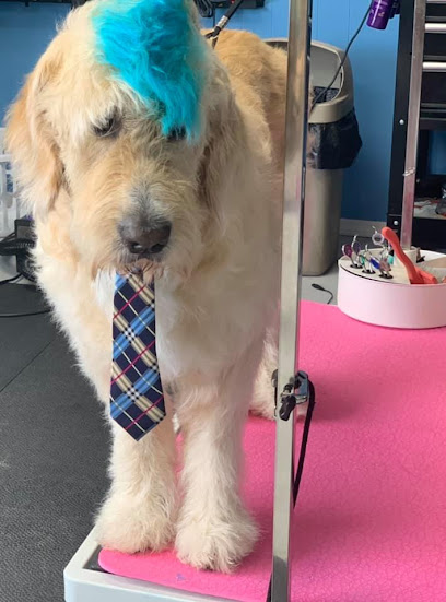 Rheya's Grooming Palace