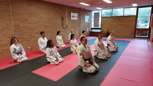 VITA (Victoria ITF Taekwon-Do Academy) - Thumbnail
