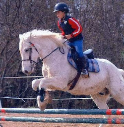 Photo n°10 de Centaure Equitation à Béziers (Écurie)
