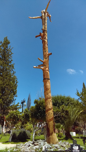 Arbol 450 - Visual