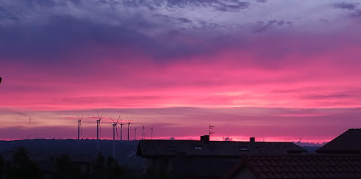 Barásoain - Visual