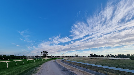 Horsham Racecourse - Thumbnail