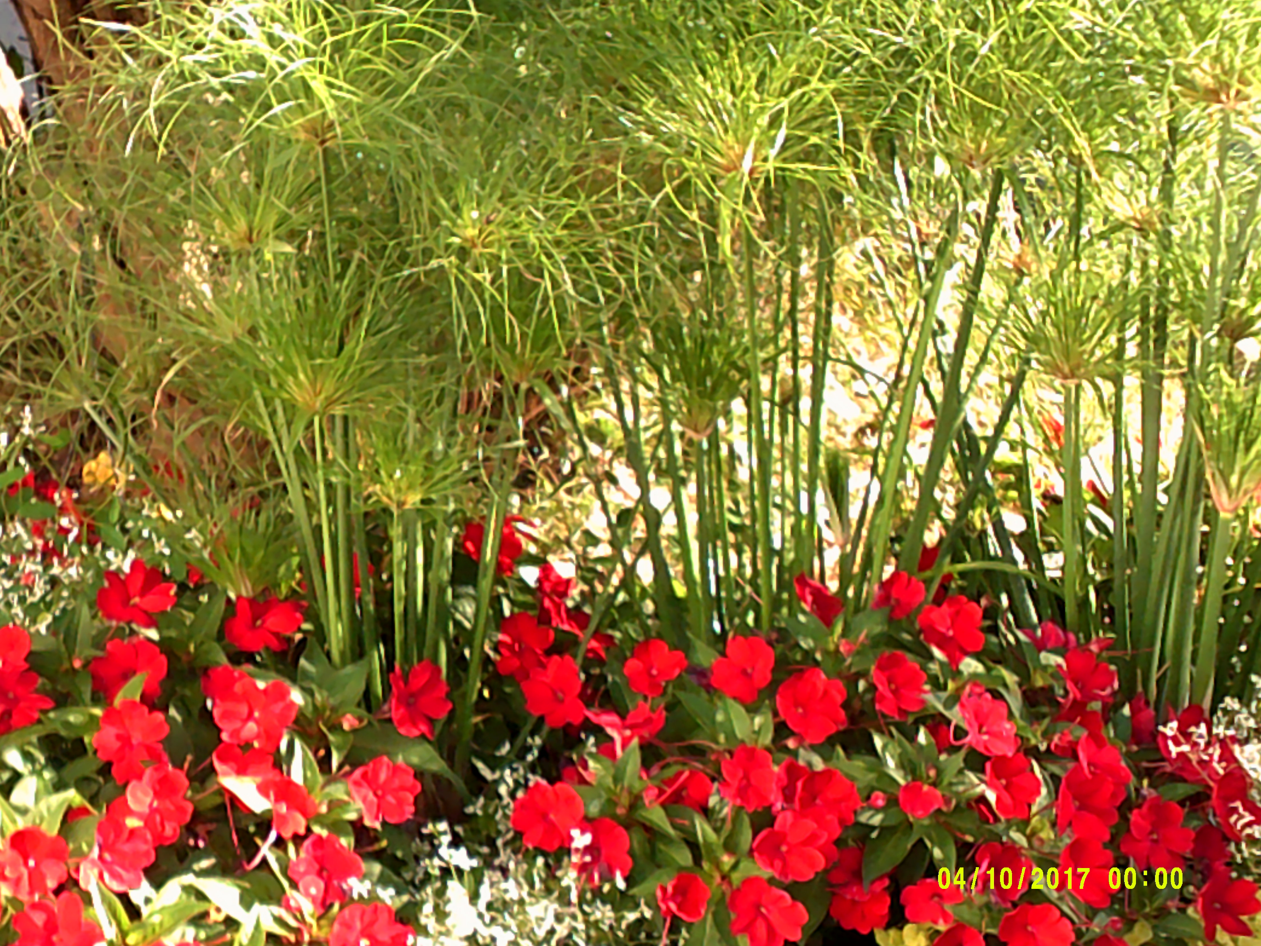 Prairieland Gardens