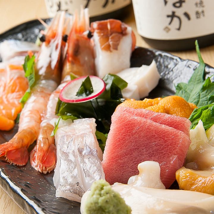 双子山しょうじ