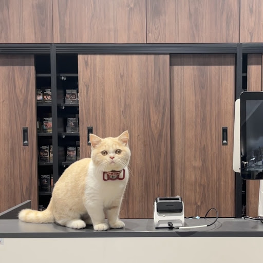 Fatty Catty Tobacconist 肥猫烟店 - Thumbnail