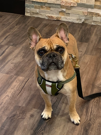 Lakewood Veterinary Center - Thumbnail