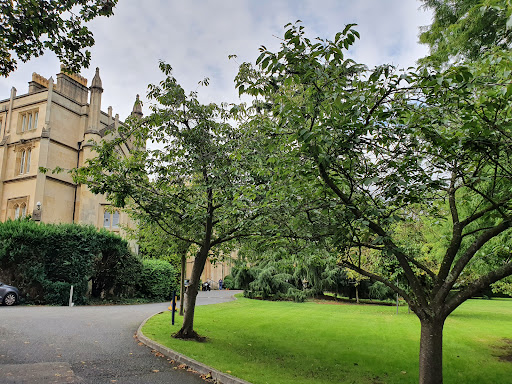 Richmond American University London - Thumbnail