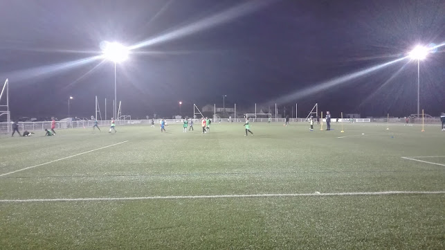 Opinii despre Stade Just Fontaine în Saint-Martin-d'Hères - Complexe sportif