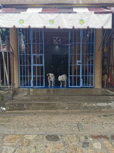 Buena onda motors Gallery - Mexico