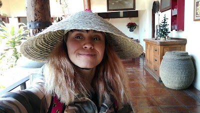 Photos of Casa Nueva