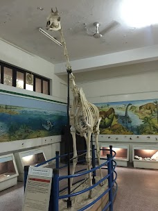 Pakistan Museum of Natural History islamabad Garden Avenue