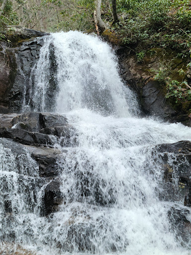 Laurel Falls Trailhead