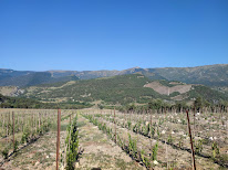 La page blanche - vins de montagne à Clumanc