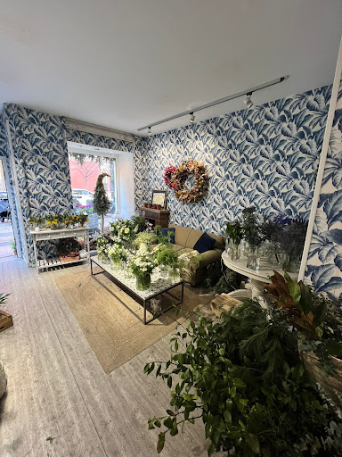 Muscariflores - Thumbnail