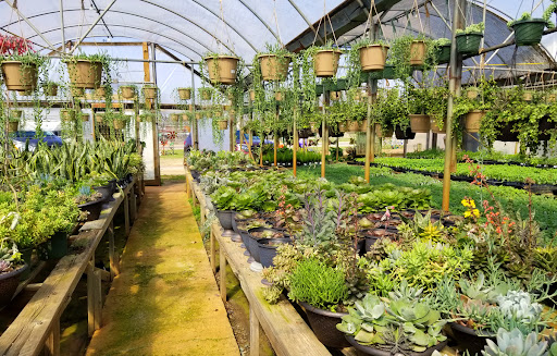 Alkatraz Plant Farm - Thumbnail