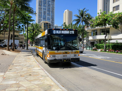Kuhio Ave + Walina St