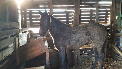 Photos of Erblini & Hera Camp
