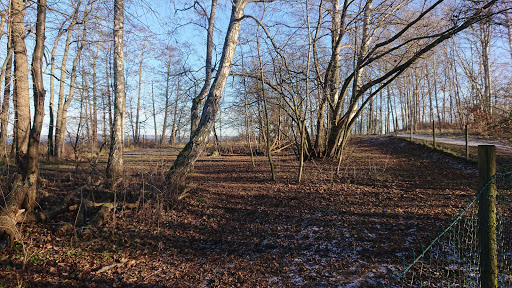Hundbad/ Hundrastgård - Thumbnail