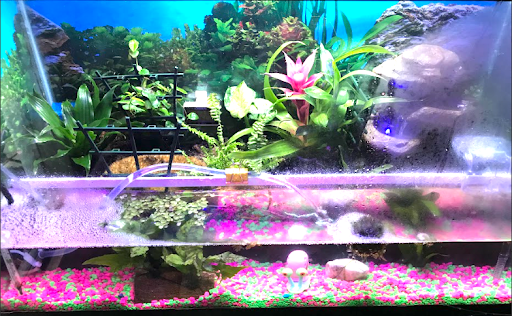TinyBioWorlds - Thumbnail