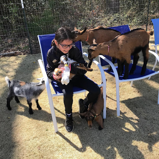 Goat Joy - Thumbnail