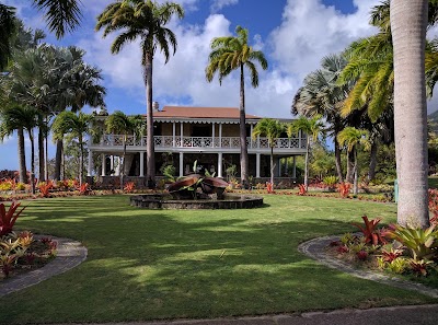 Photos of Nevis Botanical Gardens