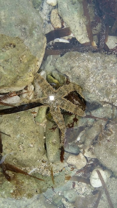 Photos of Moyo Dive Center