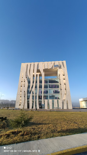 Utbis