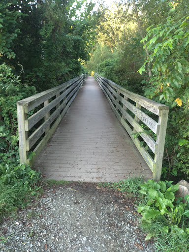 Paper Mill Park - Visual