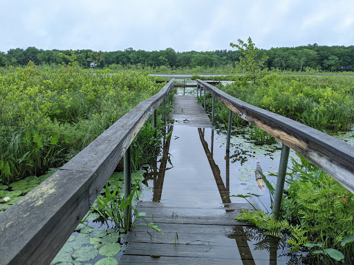 Grassy Pond Conservation Land - Thumbnail