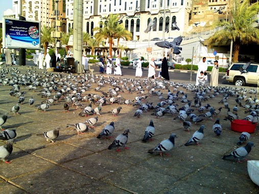 Jannat Al Muallaa Cemetery, Author: Jawed Hasan