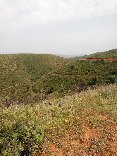 Photos of مسجد النخلتين