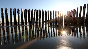 Photo n°20 de Chambre d'Hôtes Aresia Bassin Arcachon Piscine à Arès (Hôtel)